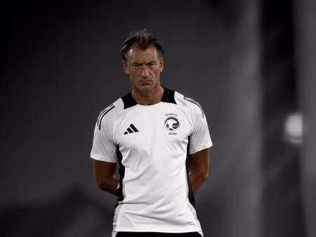Herve Renard Bio