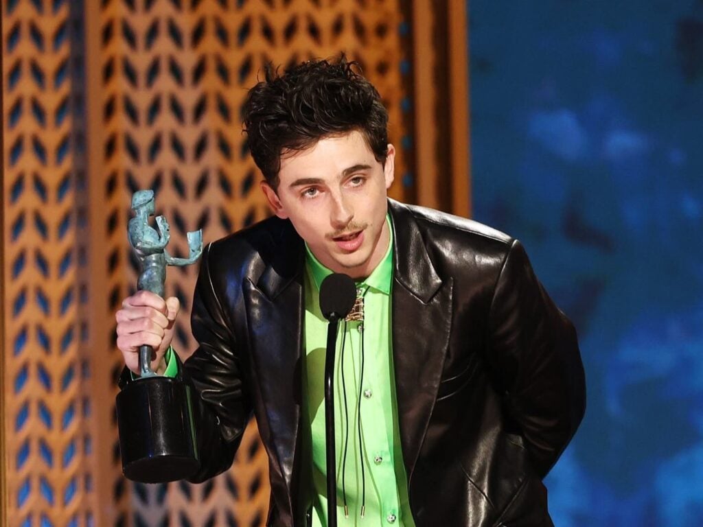 Timothée Chalamet Biography, Career, Personal Life, Net Worth Timothee Chalamet bio2