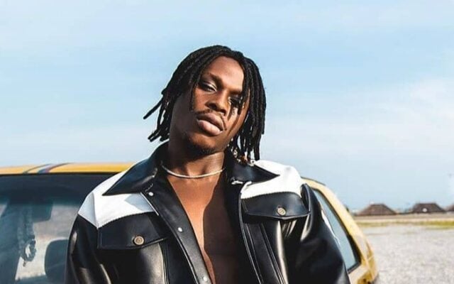 Fireboy DML Biography, Career, Personal Life, Net Worth